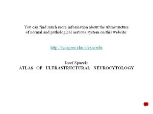 http://synapses.clm.utexas.edu http://synapses.clm.utexas.edu